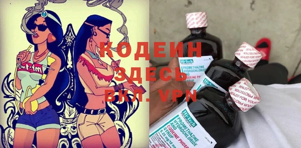 ГАЛЛЮЦИНОГЕННЫЕ ГРИБЫ Рославль