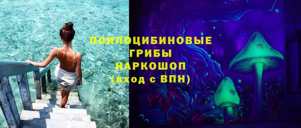 гидропоника Алексеевка